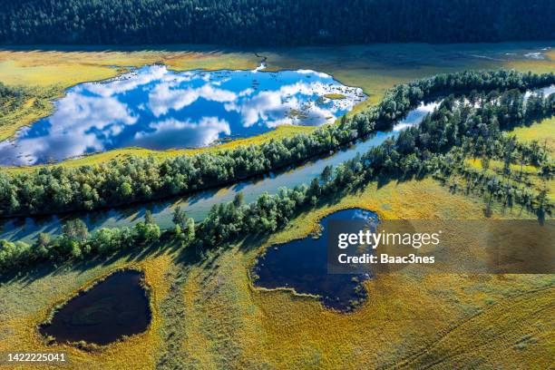 swamp, river, lake and trees seen from above - lac reflection lake photos et images de collection