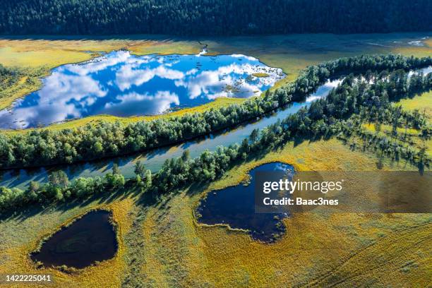 swamp, river, lake and trees seen from above - lake reflection stock pictures, royalty-free photos & images