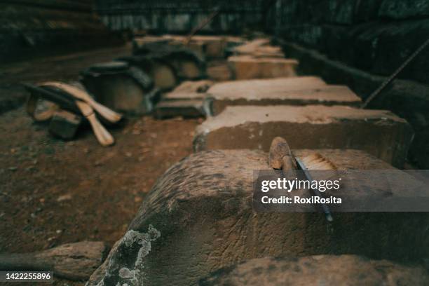 the tool kit at an archaeological dig in cambodia - paleontologi bildbanksfoton och bilder