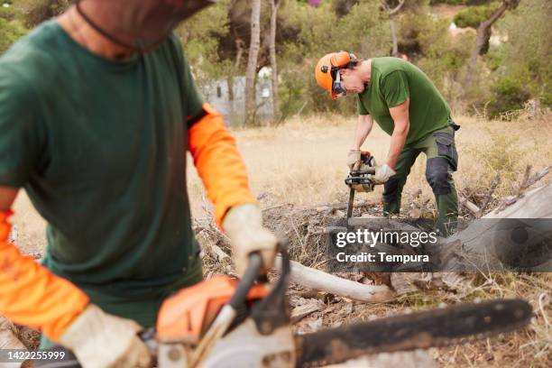 forest worker cutting with chainsaw. - lumberjack stock pictures, royalty-free photos & images