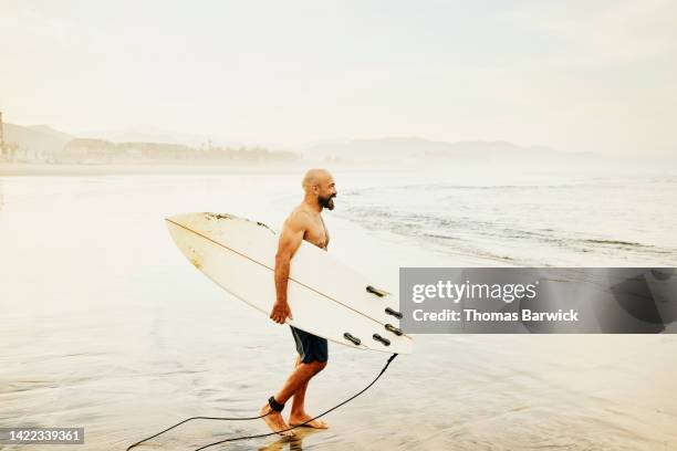 wide shot of male surfer walking into ocean for early morning surf - complètement chauve photos et images de collection