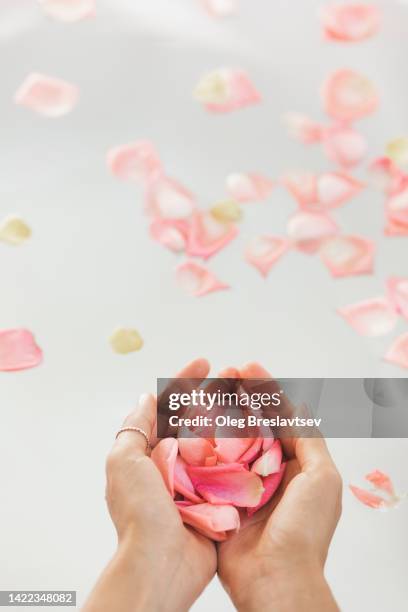 overhead view of woman hands in bath holding rose petals. bathing with flower petals - white rose flower spa photos et images de collection