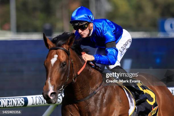 Sam Clipperton on Golden Mile wins race 6 the Schweppes Ming Dynasty Quality during Sydney Racing at Rosehill Gardens on September 10, 2022 in...