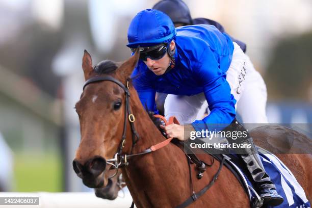 Tommy Berry on In Secret wins race 7 the Furphy Run To The Rose during Sydney Racing at Rosehill Gardens on September 10, 2022 in Sydney, Australia.