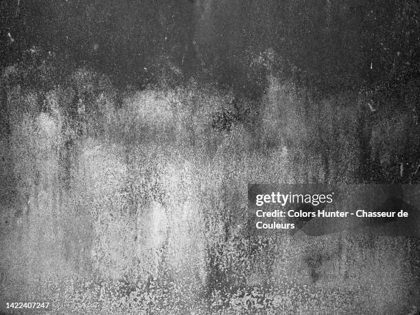 black and white photograph of a concrete wall covered in lichen and dust in paris, france - patina stock pictures, royalty-free photos & images