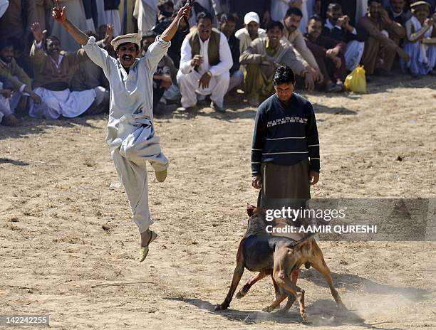 Lifestyle-Pakistan-environment-animal,FEATURE” by Khurram Shahzad In this photograph taken on February 29, 2012 shows a man as he celebrates after...