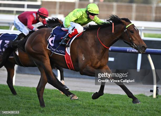 Craig Williams riding Berkeley Square winning Race 9, the Exford Plate, during Melbourne Racing at Flemington Racecourse on September 10, 2022 in...