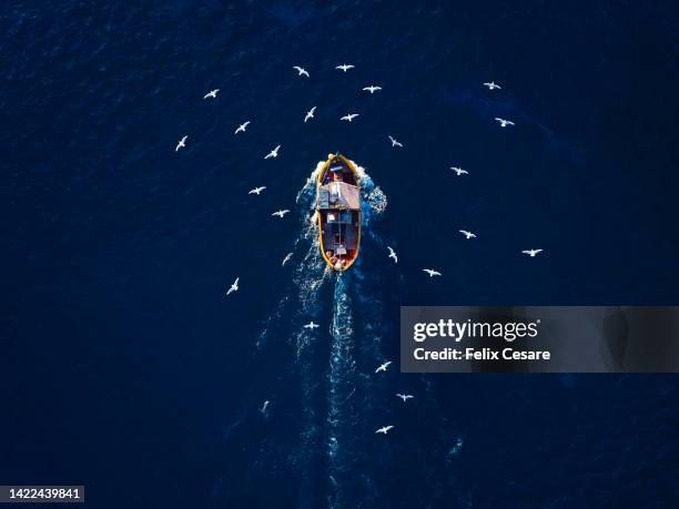 aerial view of a fishing boat being followed by seagulls. - trawler net stock-fotos und bilder