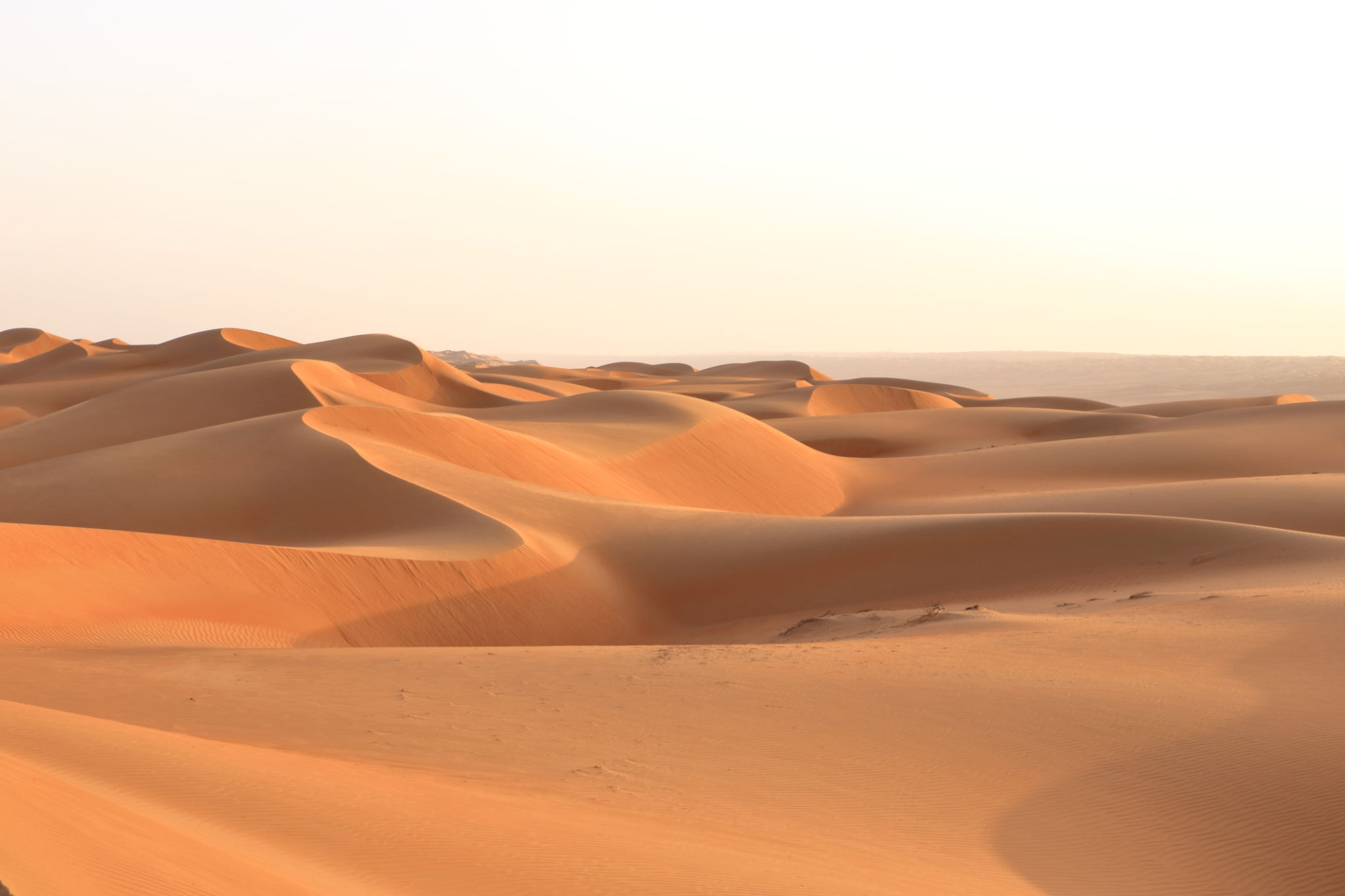 desert venue