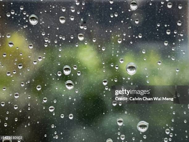 489 Window Monsoon Stock Photos, High-Res Pictures, and Images - Getty ...