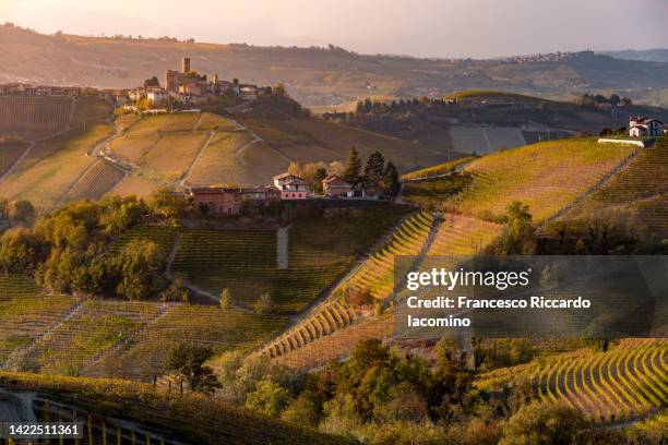 autumn in langhe wine region, vineyards in piedmont, italy - piemonte stockfoto's en -beelden