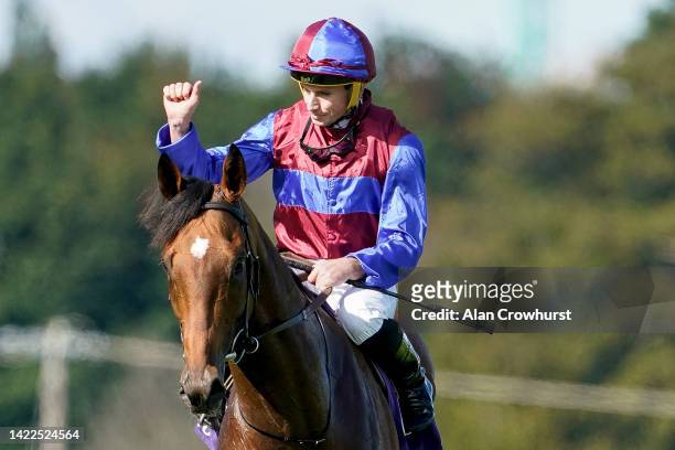 Ryan Moore riding Luxembourg celebrate winning The Irish Champion Stakes at Leopardstown Racecourse on September 10, 2022 in Dublin, Dublin.