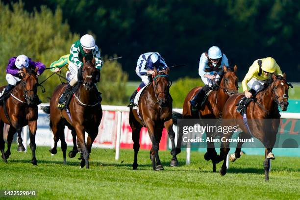 Cristophe Soumillon riding Jadoomi win The Clipper Logistics Boomerang Mile at Leopardstown Racecourse on September 10, 2022 in Dublin, Dublin.