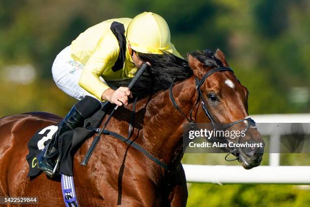 Cristophe Soumillon riding Jadoomi win The Clipper Logistics Boomerang Mile at Leopardstown Racecourse on September 10, 2022 in Dublin, Dublin.