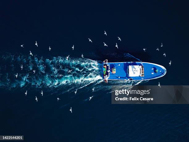 aerial view of seagulls following a fishing trawler. - fischkutter stock-fotos und bilder