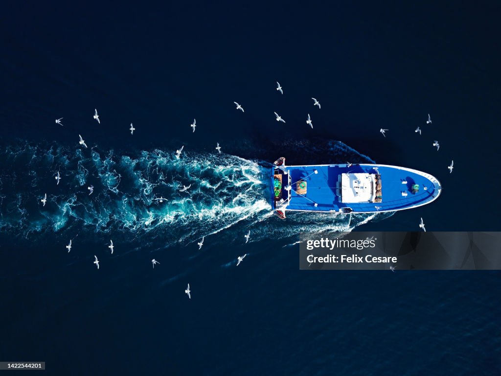 Aerial view of seagulls following a fishing trawler.