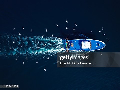Aerial view of seagulls following a fishing trawler. Aerial view of seagulls following a fishing trawler.