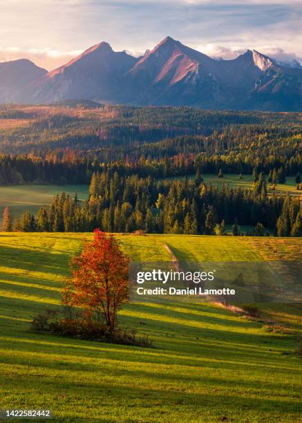 sunrise on sunny, autumn day from lapszanka with view on tatra mountains - tatra stock-fotos und bilder