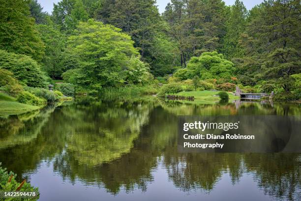 reflection on a cloudy day in the asticou azalea garden near northeast harbor on mount desert island, maine - asticou azalea garden stock pictures, royalty-free photos & images
