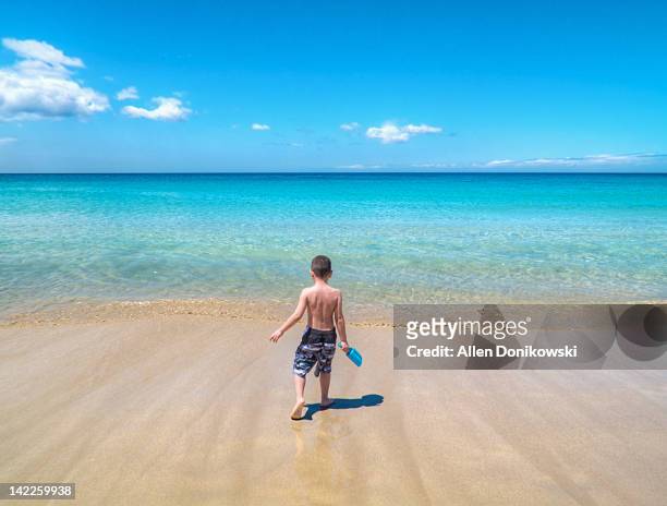 boy walking towards sea - hapuna beach 個照片及圖片檔