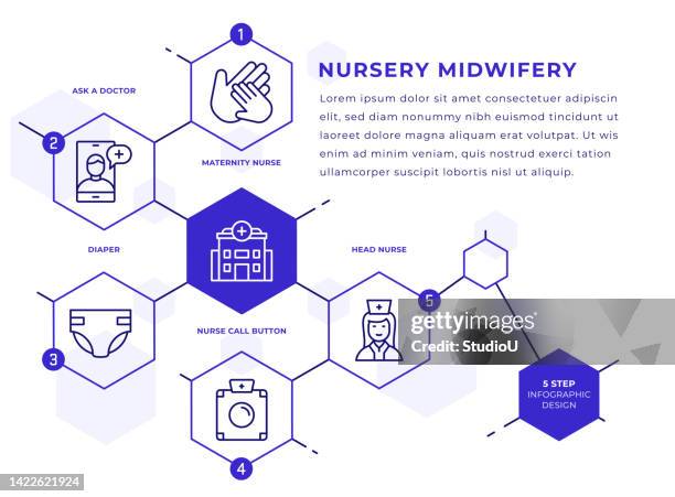 nursery and midwifery infographic template - embryo stock illustrations