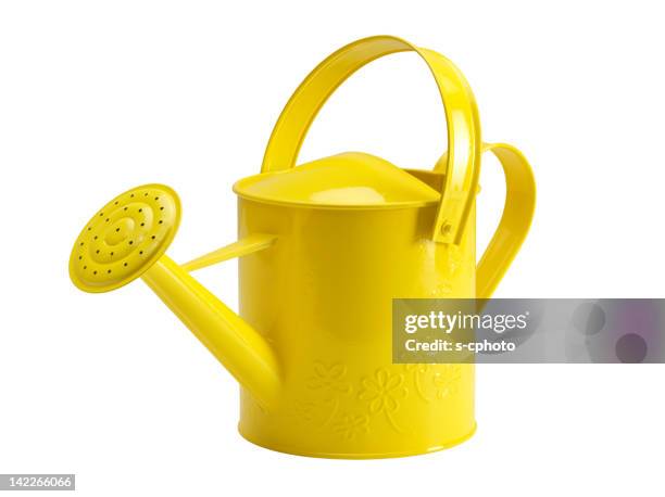 Watering Cans β Innovative Hacks to Perfect Your Garden