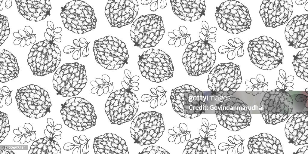 Vector set of seamless patterns. Pattern of Apple fruit, White and dark background.