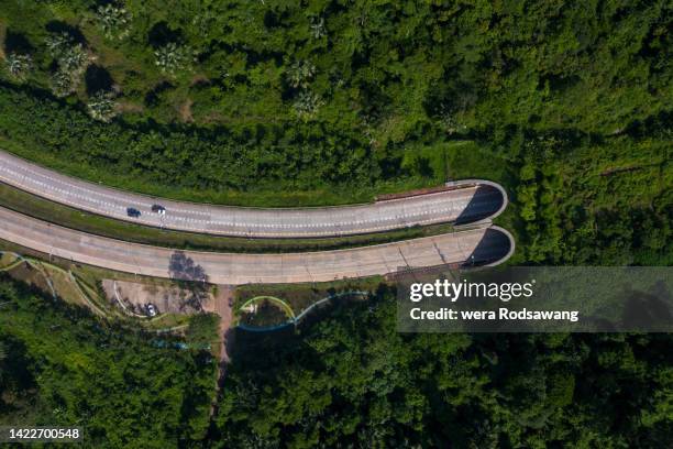 highway tunnels for animals crossings - tunnel mountain stock pictures, royalty-free photos & images