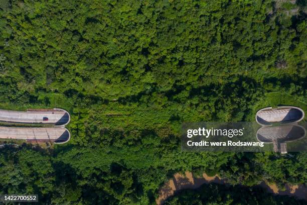 wildlife bridge crossings underpass tunnels over highway - wildlife corridor stock pictures, royalty-free photos & images