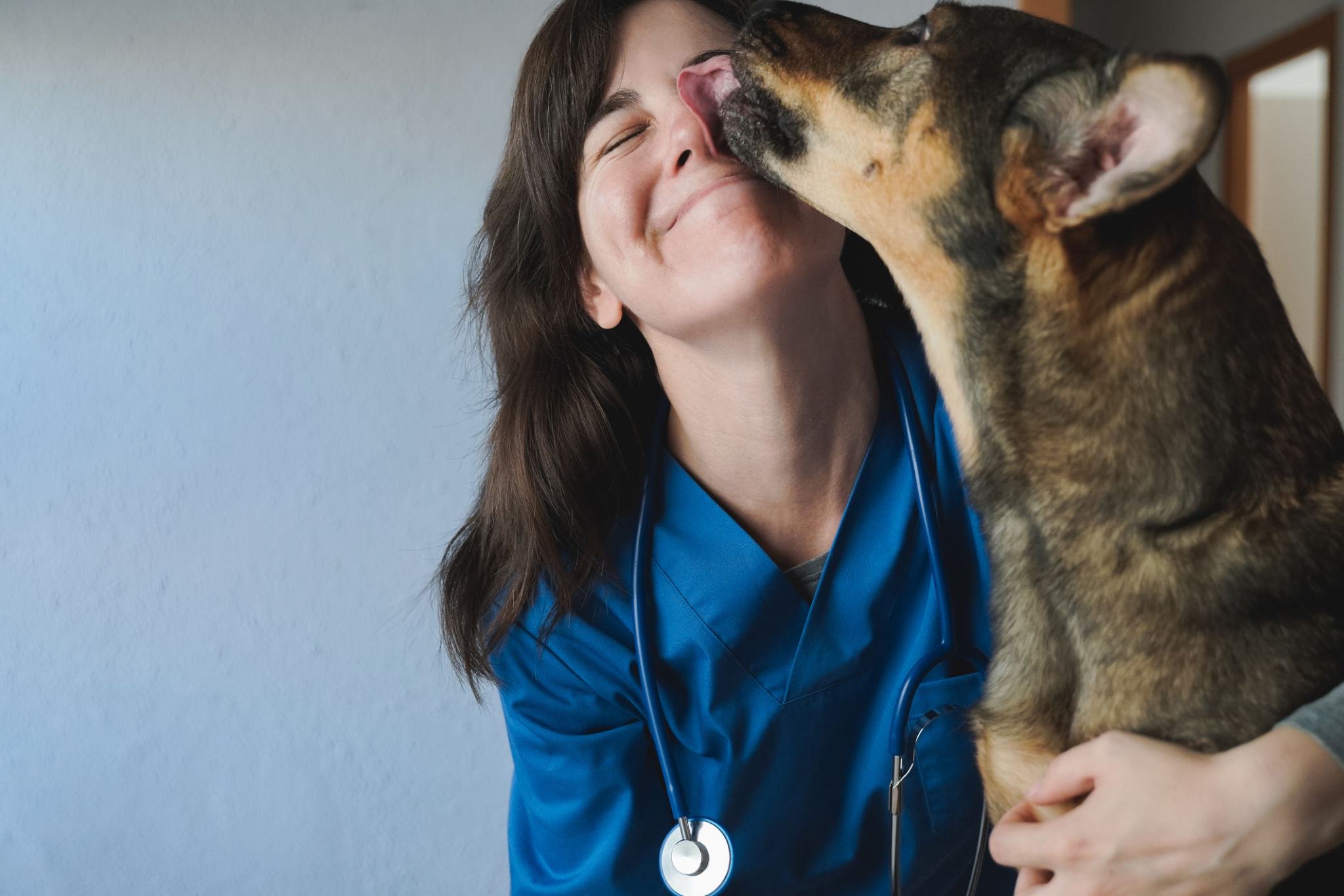 happy dog vet