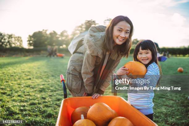 mom & daughter picking pumpkins in the pumpkin patch joyfully - fall harvest stock pictures, royalty-free photos & images