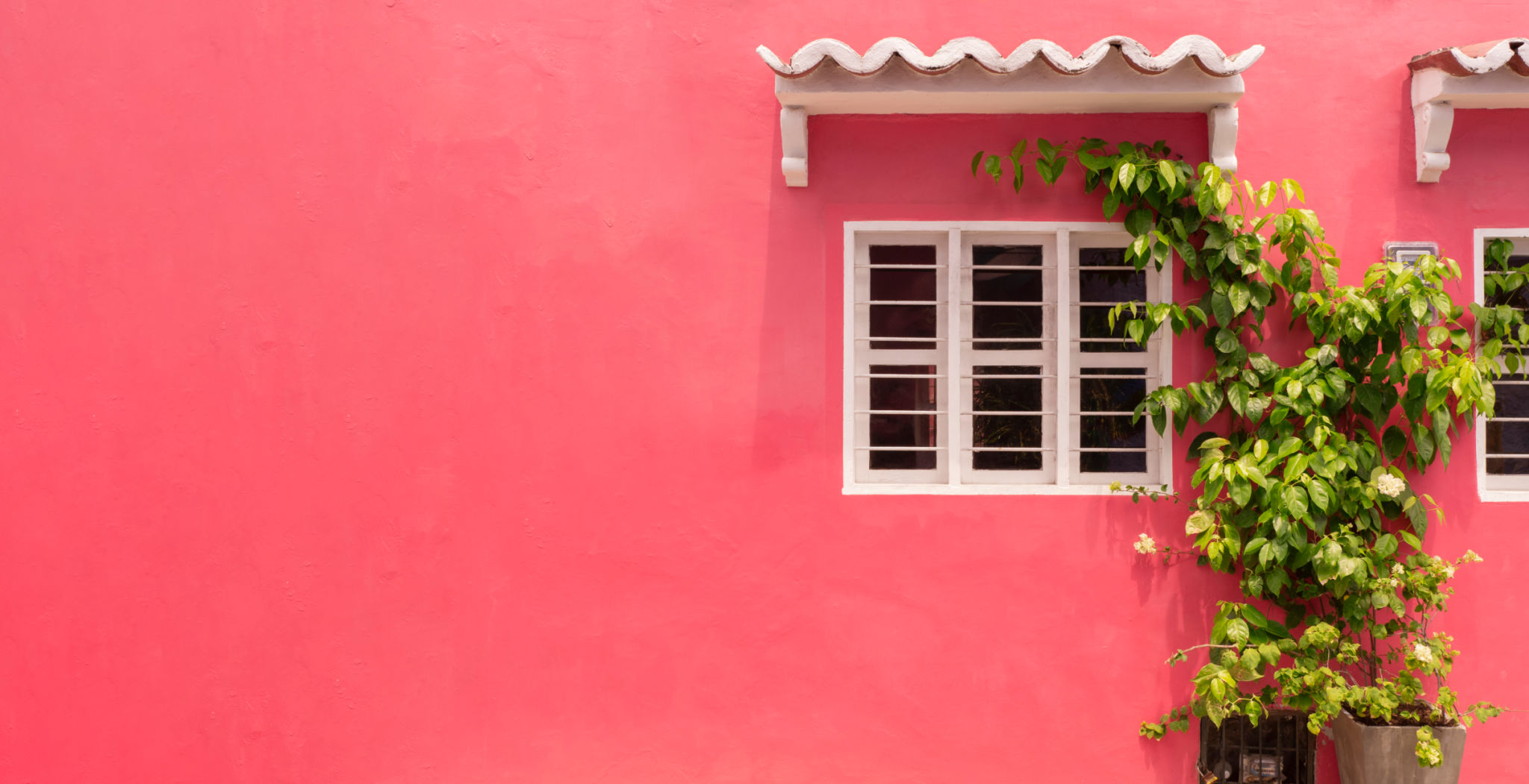 tropical home colors