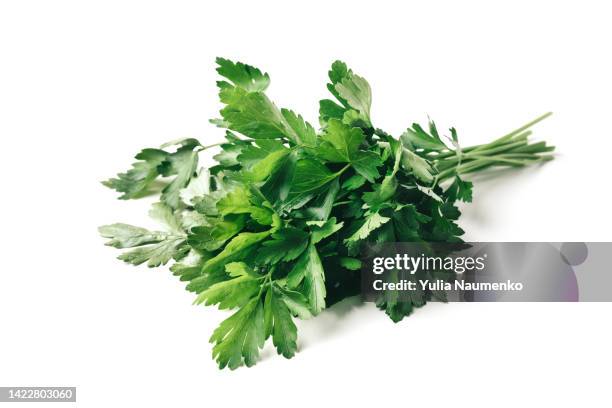 fresh bunch green parsley bunch on white background. - 料理の付け合わせ ストックフォトと画像