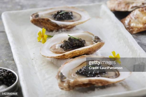 raw oysters with caviar - caviar stock pictures, royalty-free photos & images