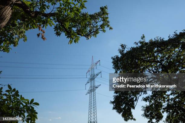 electric cable against sunny blue sky between tree. - alto voltaje fotografías e imágenes de stock