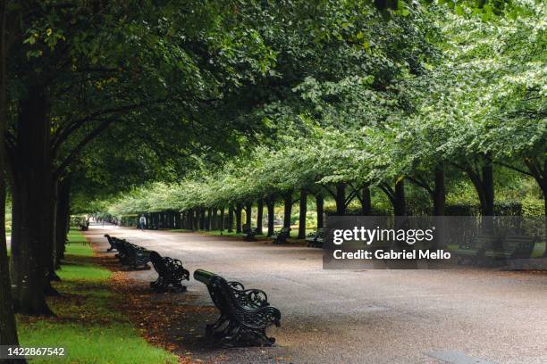 regents park in london - regent's park stockfoto's en -beelden