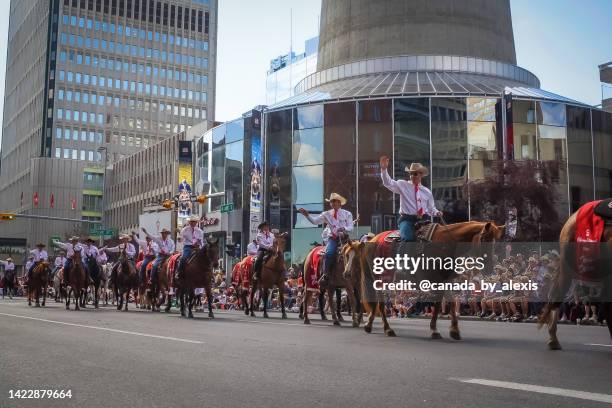 políticos del desfile de la estampida de calgary - estampida fotografías e imágenes de stock