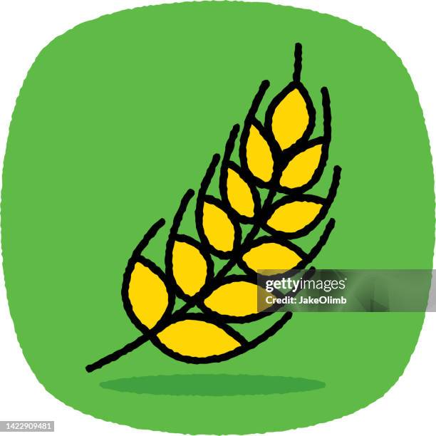 grain doodle 7 - buckwheat stock illustrations