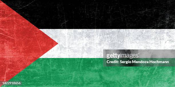 flag of palestine with a grunge texture - palestinian flag fotografías e imágenes de stock
