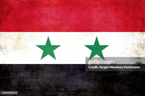 flag of syria with a grunge texture - syrian flag stock-fotos und bilder