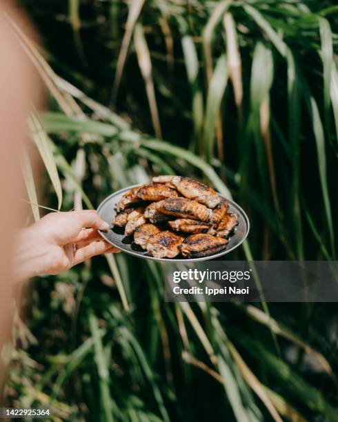 bbq chicken wings in nature - hand chicken wing stock pictures, royalty-free photos & images