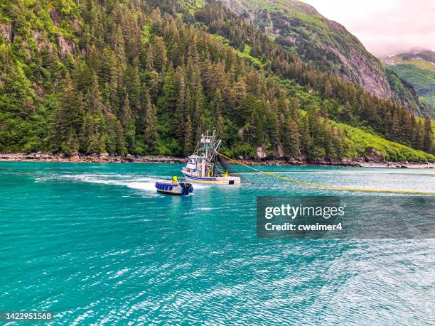 fishing in prince william sound - commercial fisheries stock pictures, royalty-free photos & images