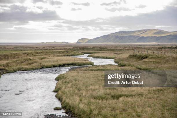 minimal landscape in iceland with the river flowing between the meadows. - meadow brook imagens e fotografias de stock