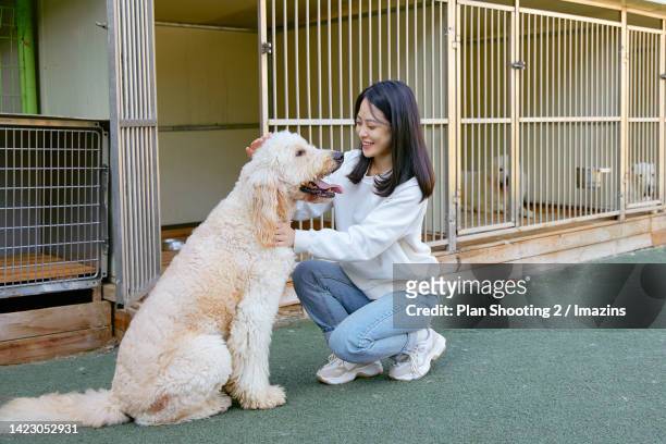 dog cafe, hug, smile, bright expression, adoption - dog pound fotografías e imágenes de stock