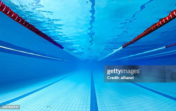 piscina debaixo de água - divisória de pista imagens e fotografias de stock