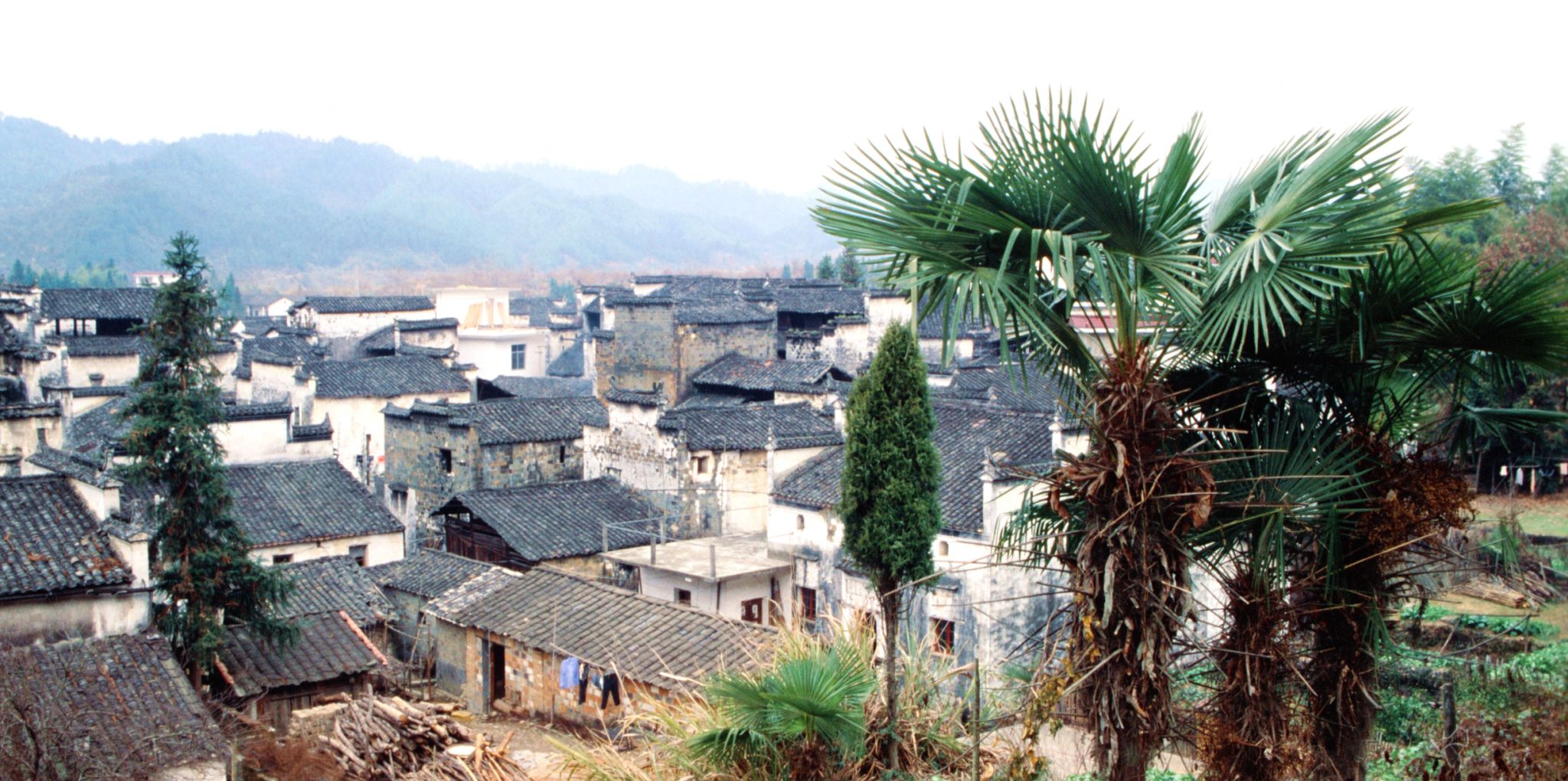 tuaefu village