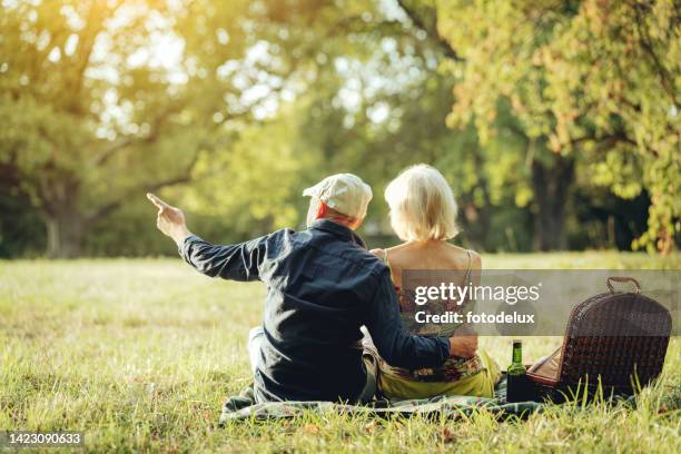 rear view of a senior couple sitting at park and admiring the view - picnic rug stockfoto's en -beelden