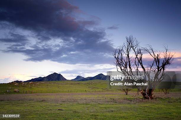 Sutter Buttes Sutter Buttes Photos and Premium High Res Pictures - Getty Images