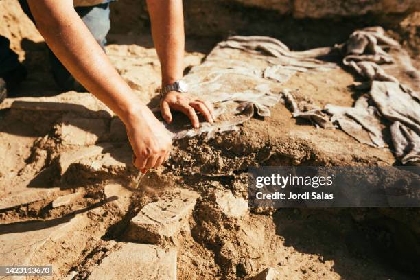archaeologist working in an archaeological - arqueologia fotografías e imágenes de stock