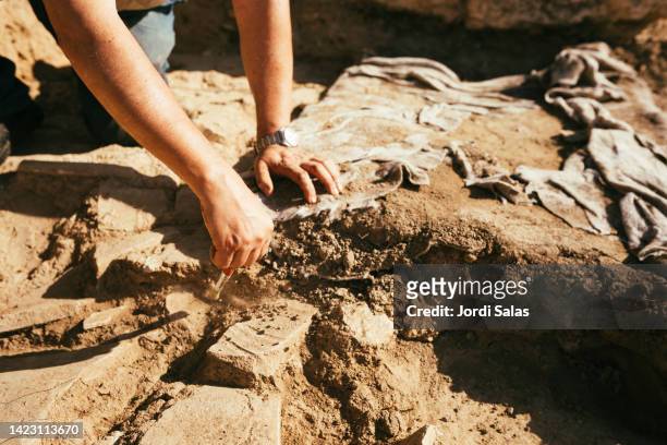 archaeologist working in an archaeological - archeologia foto e immagini stock
